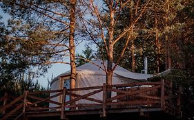 Jurty z widokiem, prywatna balia- DZIKOLAS GLAMPING
