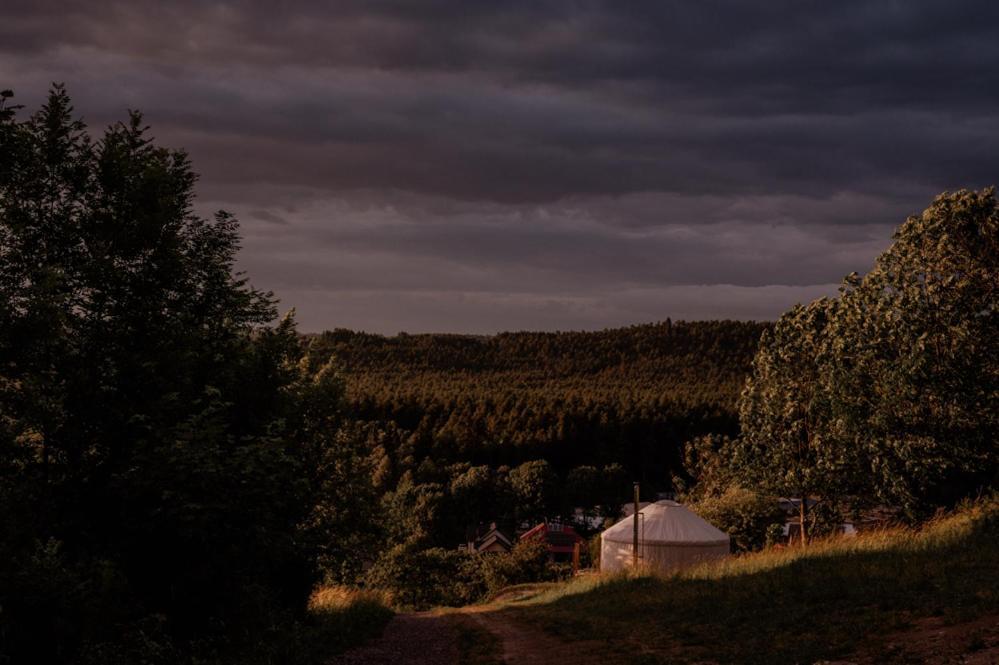Jurty z widokiem, prywatna balia- DZIKOLAS GLAMPING Krasnobród Zewnętrze zdjęcie